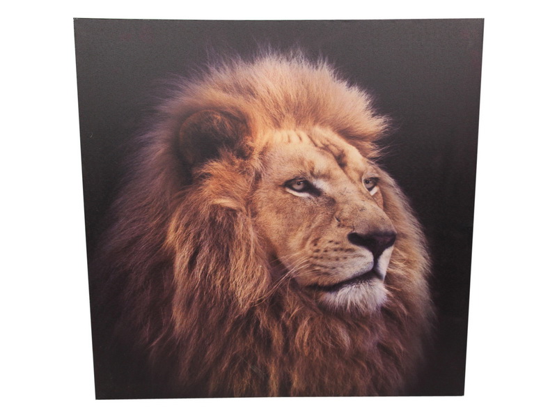 Natural Lion Canvas Print Wall Art
